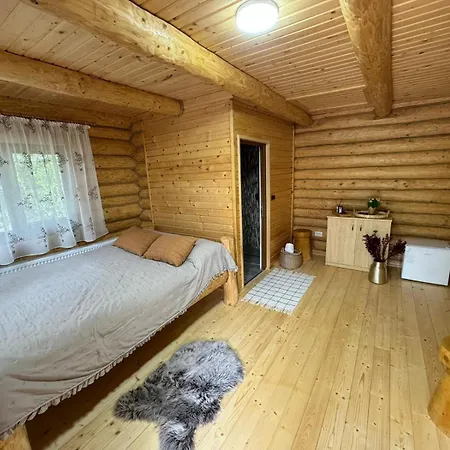 Casutele Din Padure